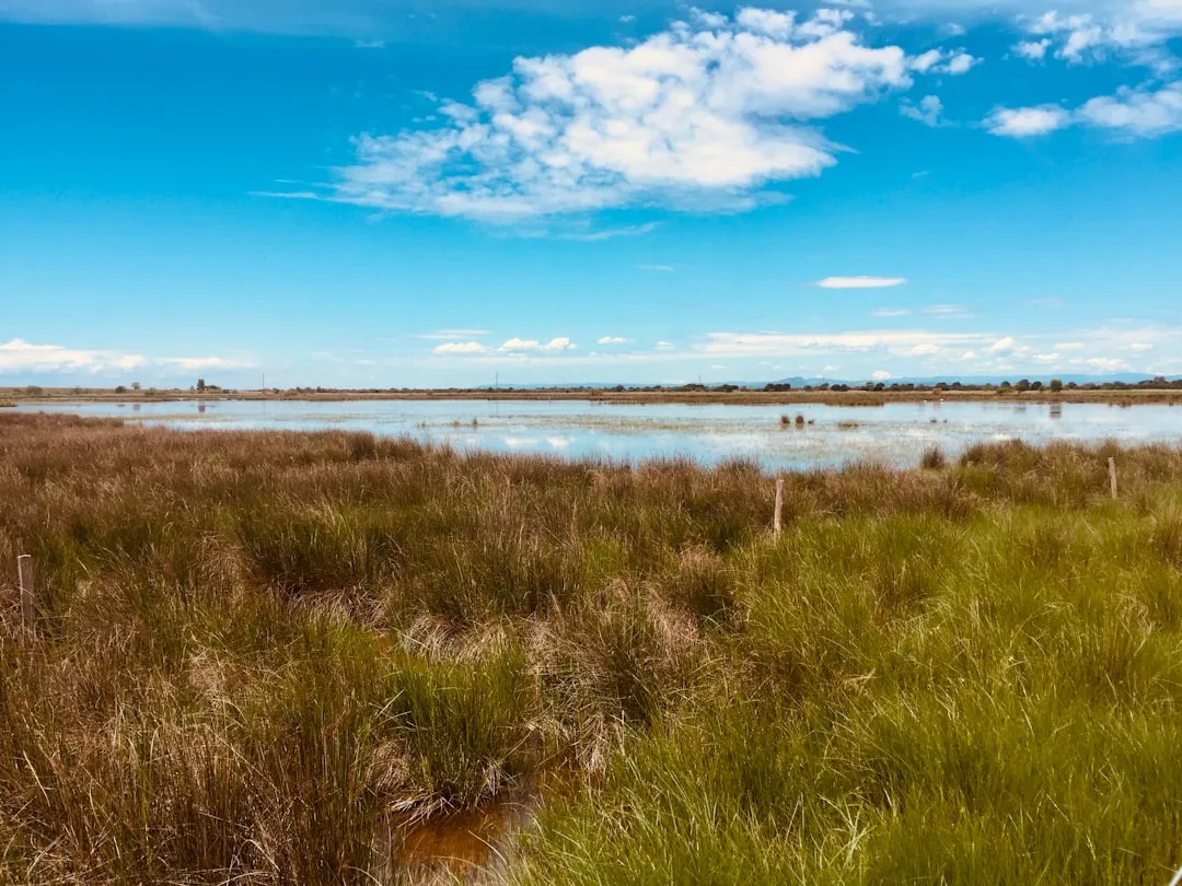 Découvrir la Camargue autrement : territoire sauvage et préservé - French Wild West