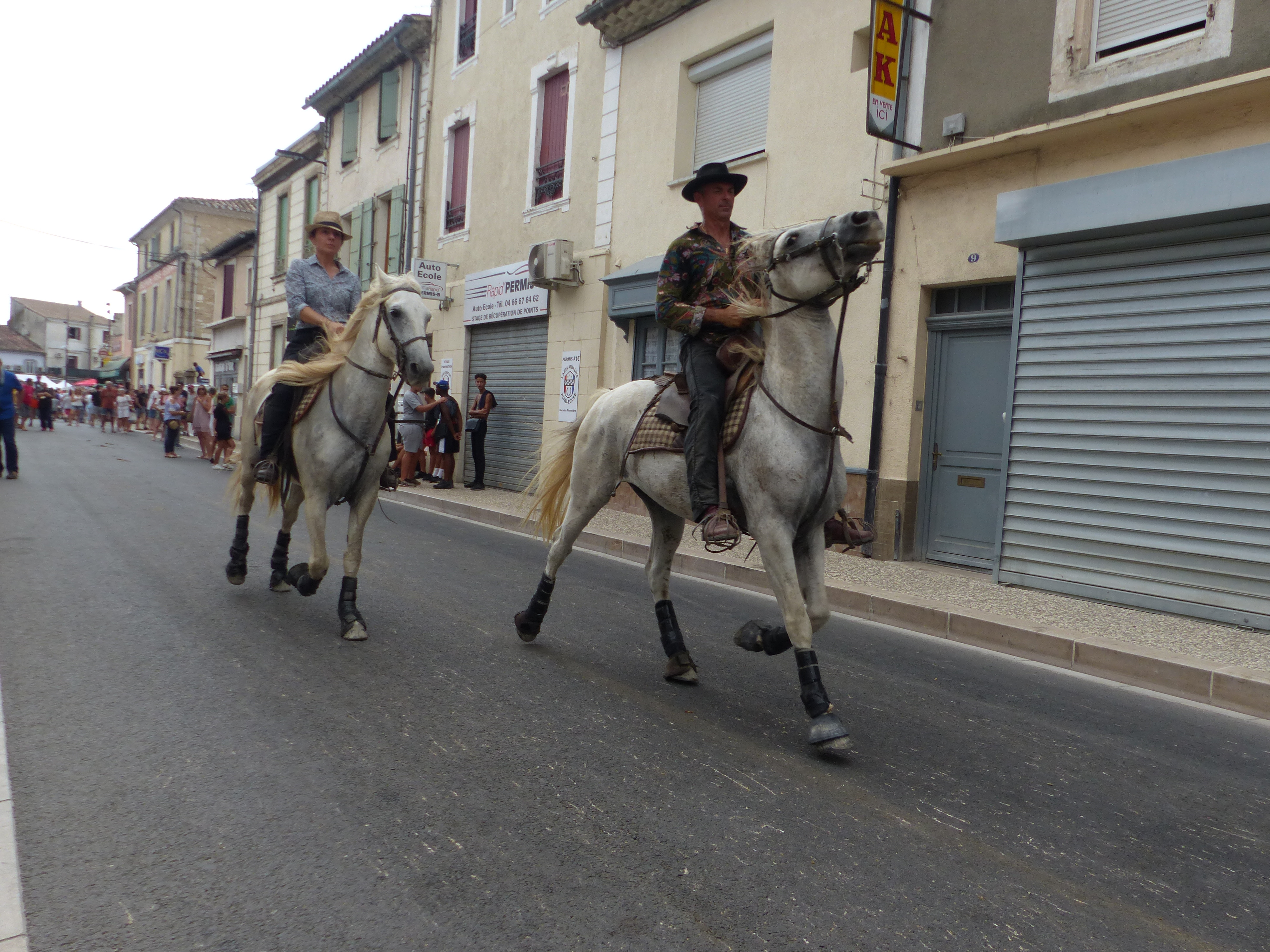 Les gardians de Camargue : à la découverte des authentiques cowboys du sud de la France - French Wild West